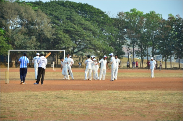 Rajyotsava Cup Cricket Tournament3